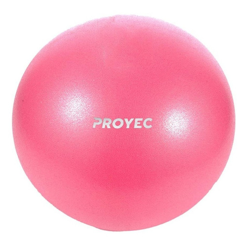 Pelota Yoga Esferodinamia Suiza 25 Cm Gym Ball Importada