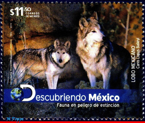 Descubriendo México 2012 : Lobo Mexicano , Fauna Protegida