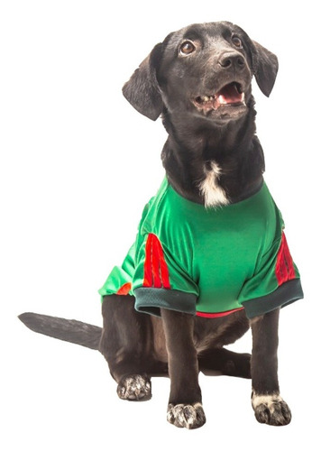 Playera Pet Pals México Mundial Verde Perro Talla 1