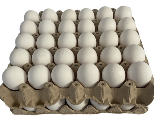 60 Huevos De Gallina Extra Blanco / 2 Bandejas 
