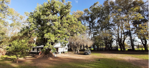 Chacra En Virrey Del Pino