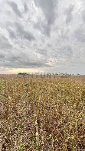 Venta Campo De 127 Ha, Clason, Santa Fe