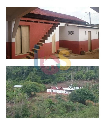 Imagem 3 de 4 de Vendo Fazenda Com 33 Hectares Em Ótima Localização - 4769