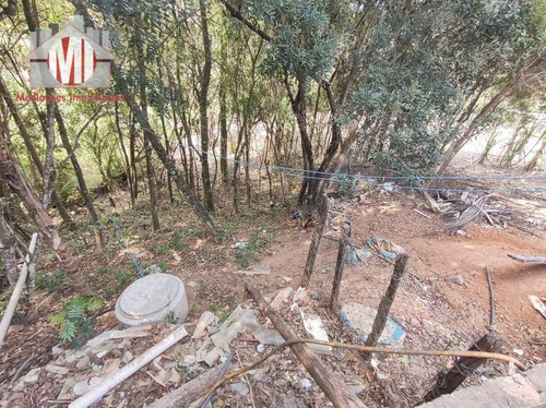 Imagem 14 de 29 de Chácara Com Escritura, 3 Dormitórios, Pomar, Horta, Córrego, Bem Localizada, À Venda, 7777 M² Por R$ 480.000 - Zona Rural - Pinhalzinho/sp - Ch1060