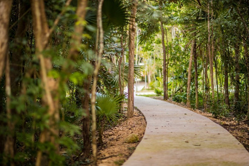 Imagen 13 de 18 de Terreno En Senderos Ciudad Mayakoba