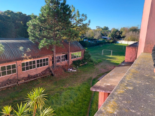 Venta Gran Terreno Mas Casa Mas Salones Mas Galpones