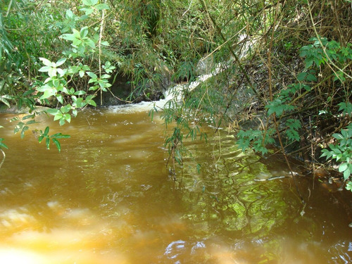 Imagem 6 de 14 de Terreno Em Camanducaia/mg