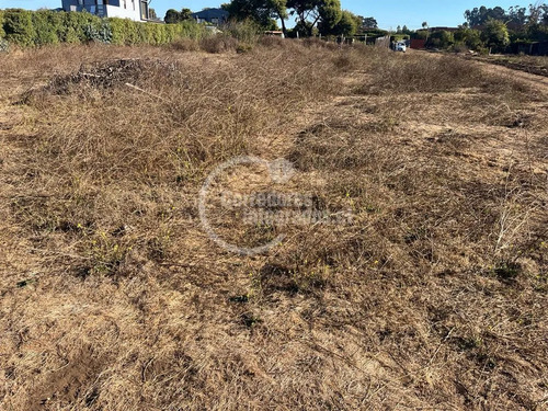 Sitio En Venta En Santo Domingo