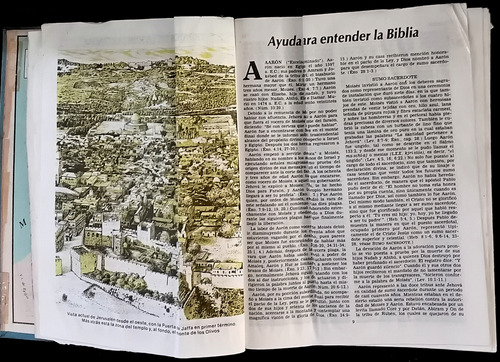 Ayuda Para Entender La Biblia Lectura Testigos De Jehová (Usado)