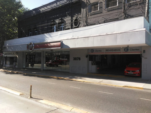 Imagen 11 de 16 de Fiat Cronos 1.3 Drive Pack Plus Mt5 0km 2023