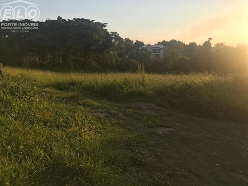 Imagem 6 de 7 de Terreno - Tr02045 - 69523579