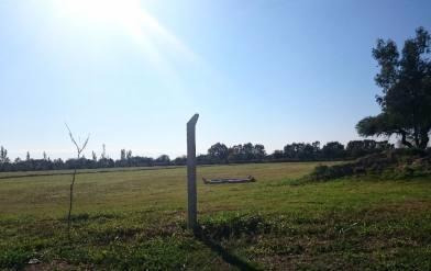 Imagen 4 de 6 de Vendo Lotes En San Guillermo Zona Sur Camino San Carlos
