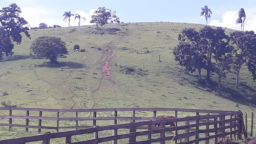 Imagem 26 de 30 de Vendo Fazenda Dupla Aptidao Regiao De Poços De Caldas (6176 )
