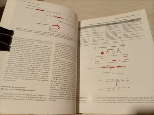 Libro. Genética En Medicina. Masson (Usado)