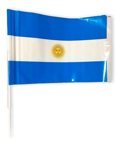 Banderas  Plásticas Argentina X 120 15x25 Cotillón Banderín