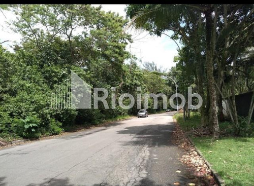 Imagem 3 de 9 de Terreno - Ref: 6275