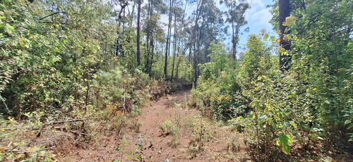 Gran Oportunidad! Terreno De 40 Hectáreas Sobre Carretera A Los Saucos