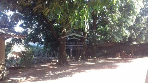 Imagem 8 de 15 de Chácara À Venda Em Santa Terezinha - Ch009193