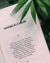 Comprar Fantasmas De Lo Sublime Poesia Inglesa Finitud Serapis 