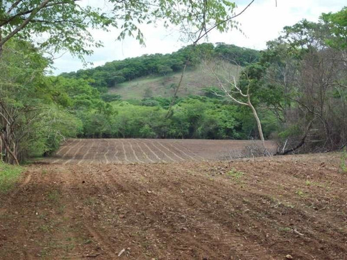 Imagen 9 de 15 de Finca En Venta. Gran Oportunidad.