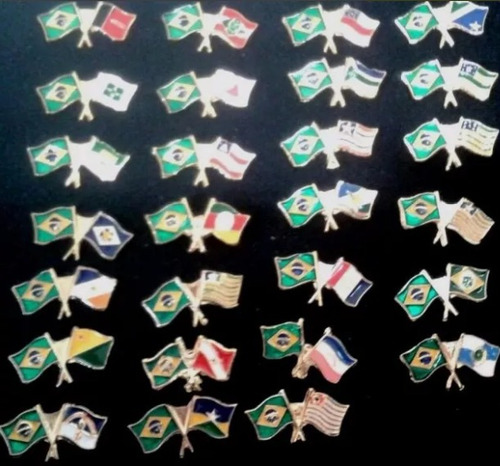 Imagem 4 de 5 de Pim Bótom Broche Bandeira Estado Mato Grosso Do Sul Folheado