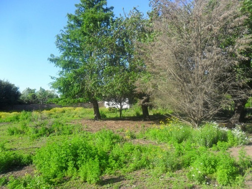 Imagen 2 de 3 de Venta Lote En Funes