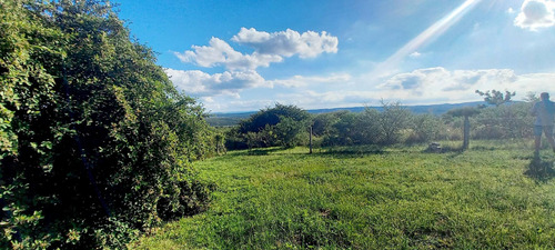 Imagen 12 de 30 de Campo 7 Hectreas Plano Con Chalet, San Esteban