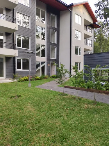 Vendo Dpto 1d 1b En Condominio Robles Del Volcán Pucón