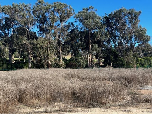 Sitio En Venta En Zapallar