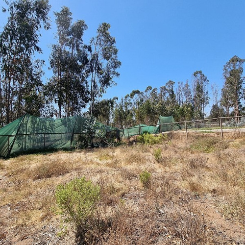 Bosques De Quilen, Costa Quilen, Puchuncaví