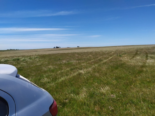 Dueño Vende Campo De 95 Ha En Lavalleja