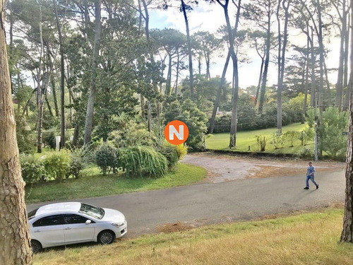 Imagen 7 de 12 de Venta De Terreno En Cantegril Punta Del Este - Punta Del Este Cantegril