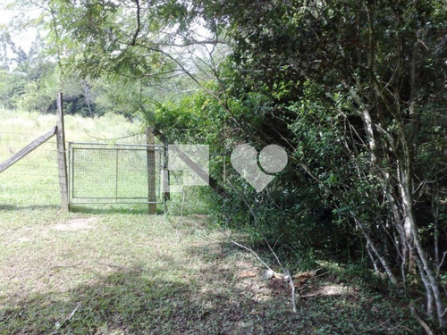 Imagem 11 de 15 de Area - Lomba Do Pinheiro - Ref: 32193 - V-53780541