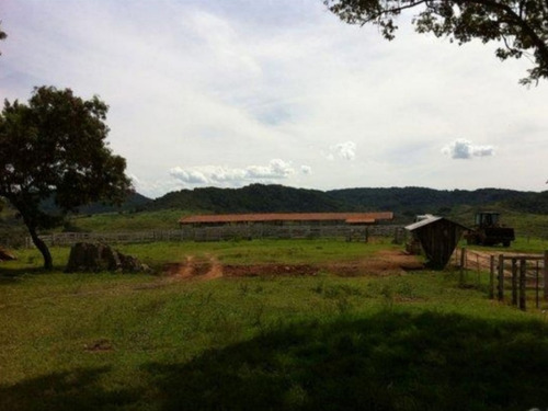 Fazenda À Venda Em Echaporã/sp - Fa00122 - 69026868