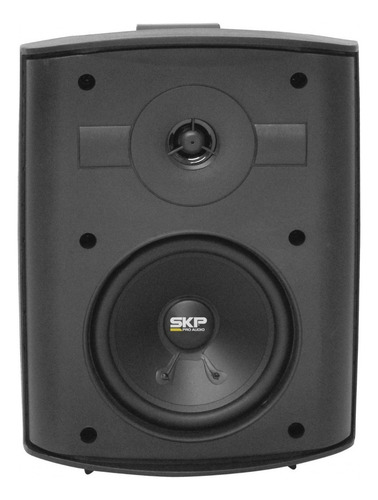 Par Parlante Skp Sk-105 Audio Funcional 75w Color Negro
