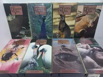 Comprar Lote De 10 Fitas Vhs Coleção Abril Os Desafios Da Vida