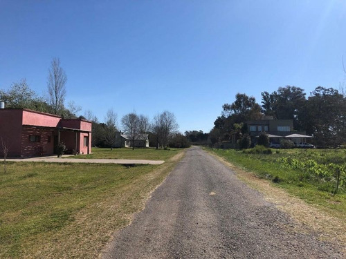 Imagen 5 de 5 de Lote | Las Casuarinas