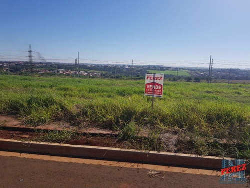 Imagem 4 de 13 de Terrenos Para Venda - 13650.5633