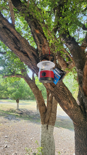 Linterna Mini Para Camping 40 Lumens 70 Hrs De Luz C/gancho