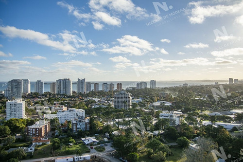 Imagen 21 de 30 de Penthouse En Venta Con Vista A La Mansa En Torre Ocean Drive Ii - Punta Del Este Roosevelt