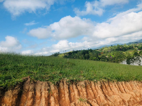 Imagem 4 de 14 de 01- Terrenos Documentados Na Frente Da Represa Em Igaratá !