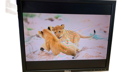 Monitor Dell 1908fpc 0kw557 ( Sem Suporte ) (Usado)