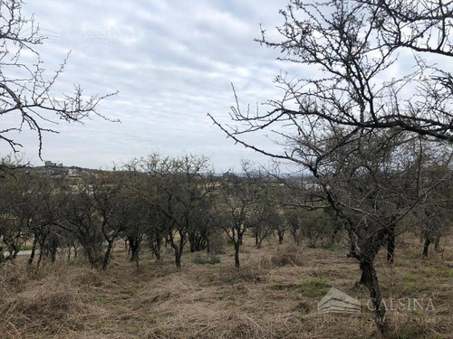 Imagen 9 de 11 de Terreno - El Terron - Mendiolaza