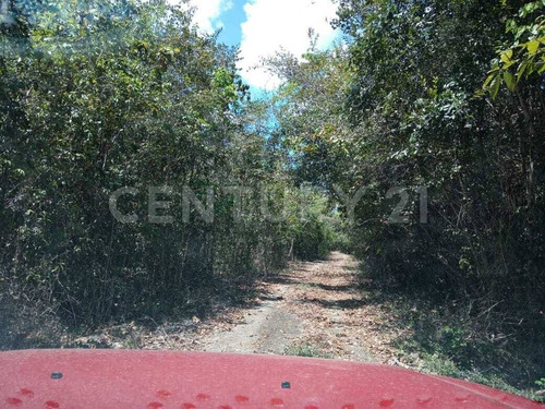 Imagen 6 de 18 de Terreno En Venta Frente A Laguna Chile Verde Cerca De Chetumal Em02021
