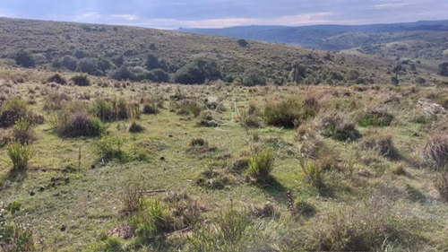 Campo De 80 Has En Paraje Carape Con Costa De Arroyo.