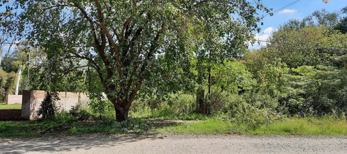 Imagen 2 de 4 de Almafuerte Y Ruta Nacional 9 - Terreno
