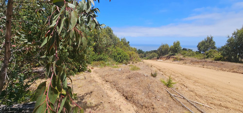 Excelente Terreno Quincheumo Con Pozo De Agua Y Topografía