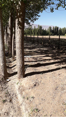 Terreno En  Alamos Del Valle, Uspallate, Las Heras