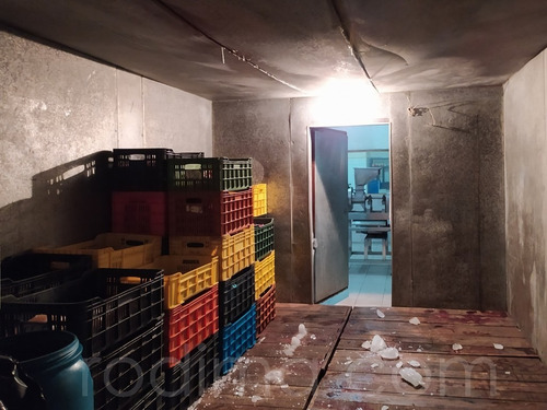 Imagen 6 de 10 de Negocio De Pulpa De Frutas, Fábrica En Venta