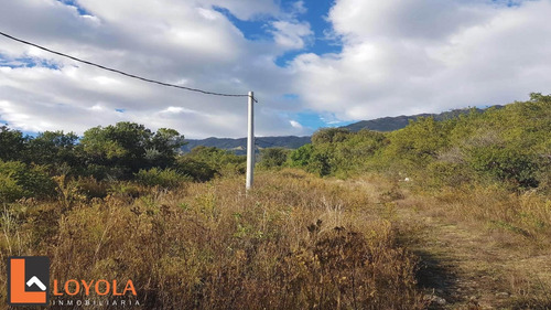 Imagen 14 de 30 de Carpintería, Lotes De 5000 M2